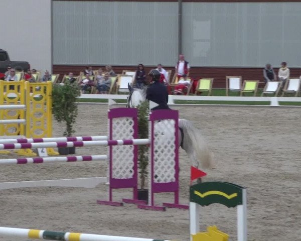 Reitturnier Zweibrücken 2018