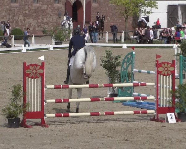 Reitturnier Zweibrücken 2018