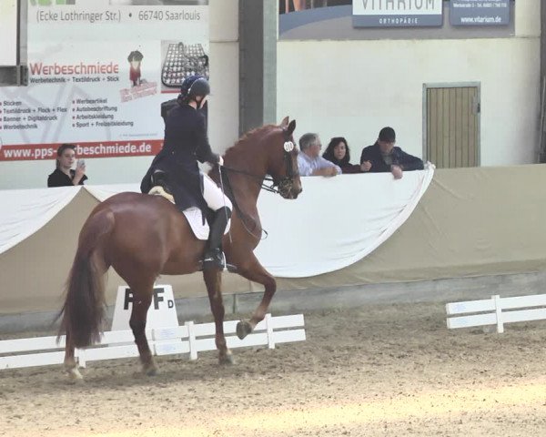 Reitturnier Saarlouis 2018
