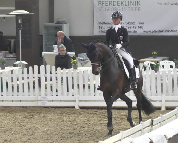 Reitturnier Saarlouis 2018