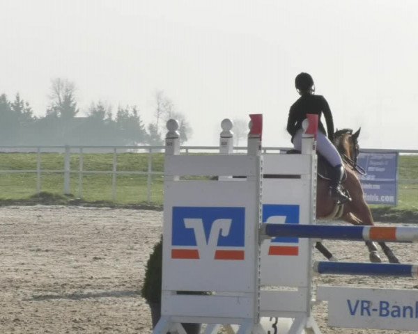 Reitturnier Langenau 2018