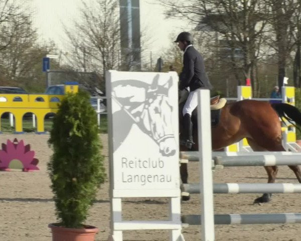 Reitturnier Langenau 2018