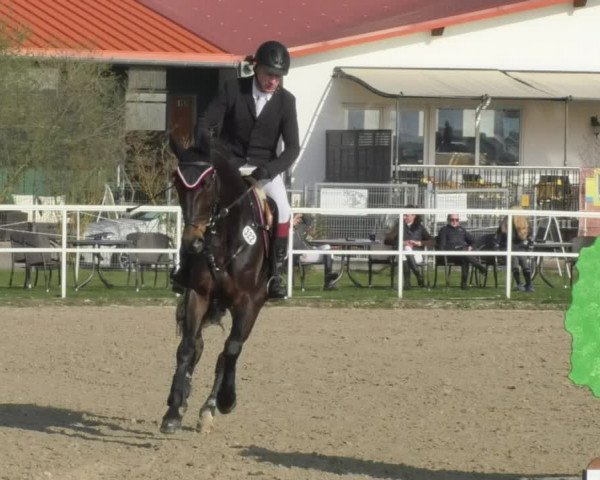 Reitturnier Langenau 2018