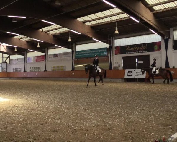 Reitturnier Bottrop 2018