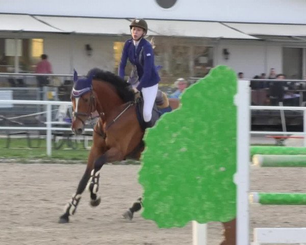 Reitturnier Langenau 2018