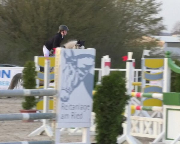 Reitturnier Langenau 2018