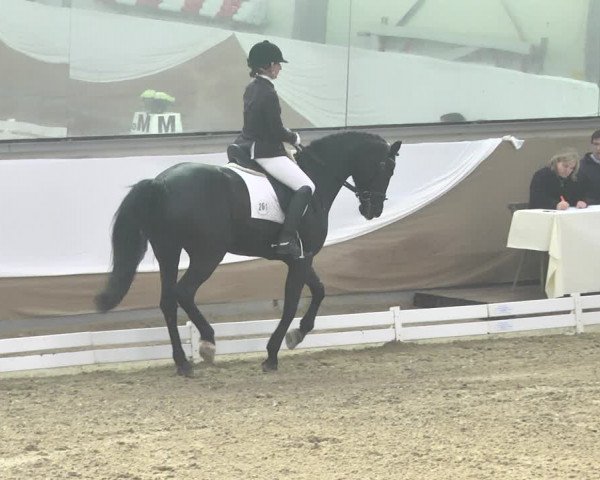 Reitturnier Saarlouis 2018