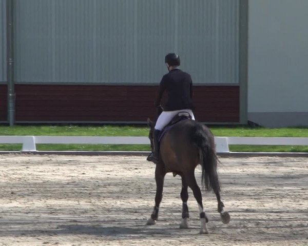 Reitturnier Zweibrücken 2018