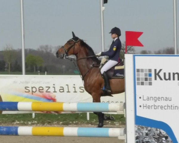Reitturnier Langenau 2018