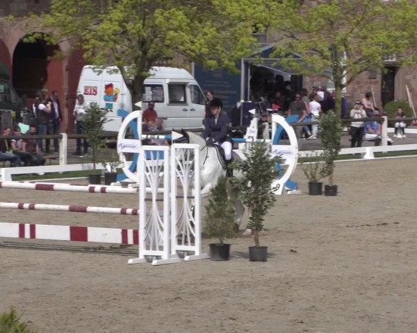 Reitturnier Zweibrücken 2018