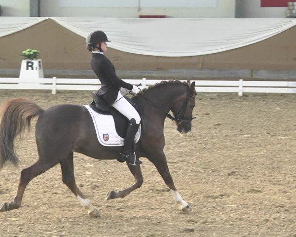 Reitturnier Saarlouis 2018