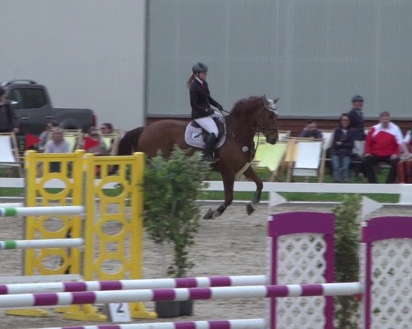 Reitturnier Zweibrücken 2018