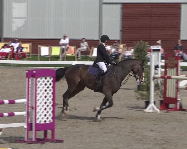 Reitturnier Zweibrücken 2018