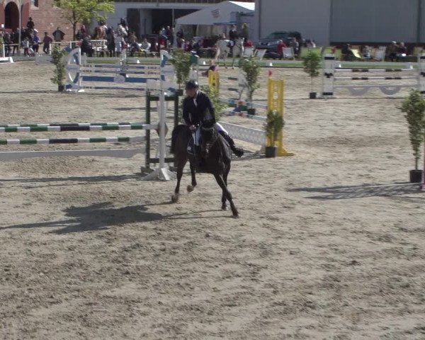 Reitturnier Zweibrücken 2018