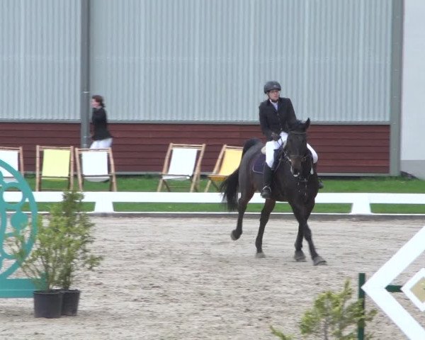 Reitturnier Zweibrücken 2018