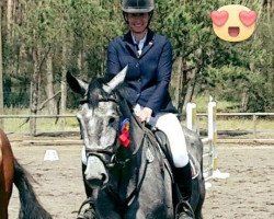 jumper Canterbury S (Rhinelander, 2013, from Calido's champ)