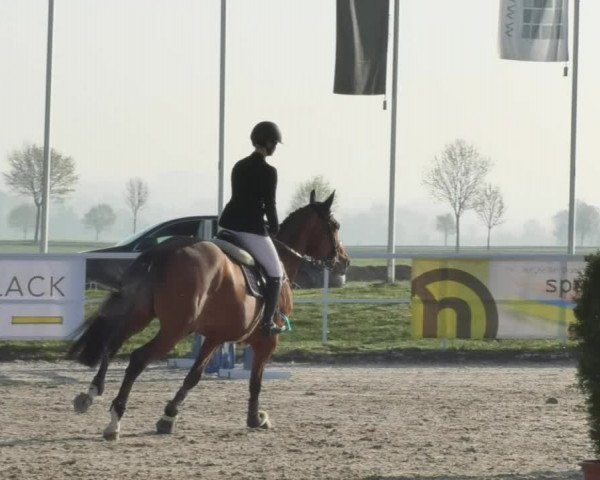 Reitturnier Langenau 2018