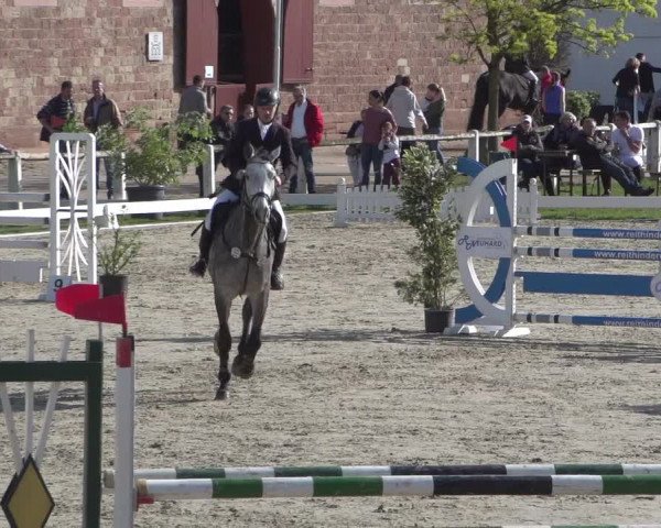 Reitturnier Zweibrücken 2018