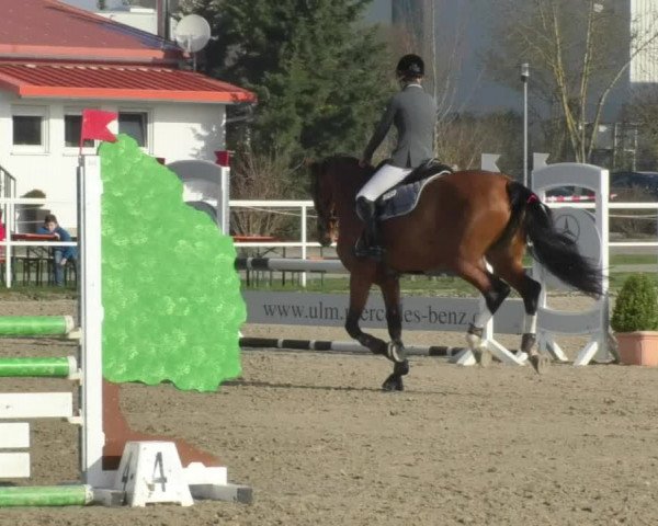 Reitturnier Langenau 2018