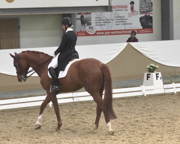 Reitturnier Saarlouis 2018