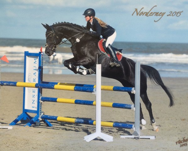broodmare Estella (Hanoverian, 1996, from Espri) broodmare Estella (Hanoverian, 1996, from Espri)