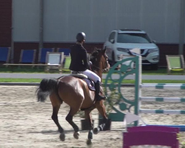 Reitturnier Zweibrücken 2018