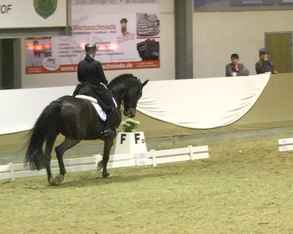 Reitturnier Saarlouis 2018