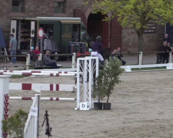 Reitturnier Zweibrücken 2018