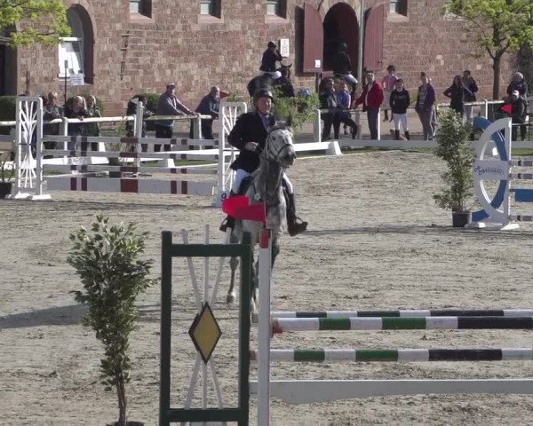 Reitturnier Zweibrücken 2018