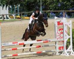 jumper Bellissima 47 (Westphalian, 2010, from Basic)