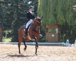 dressage horse Clever Girl (Holsteiner, 2006, from Cristo)