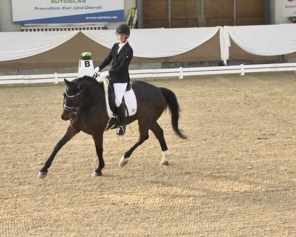 Reitturnier Saarlouis 2018