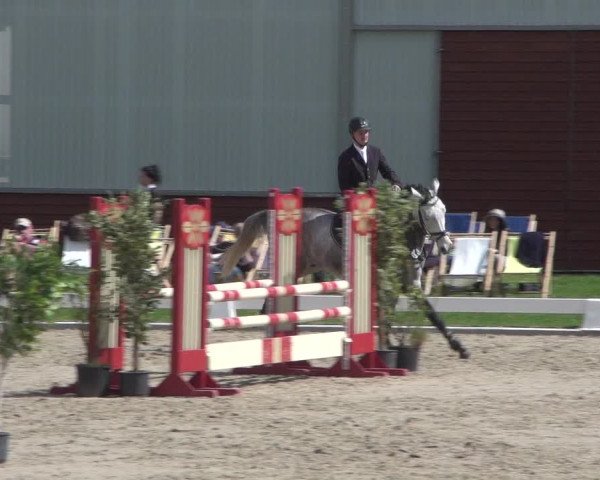 Reitturnier Zweibrücken 2018
