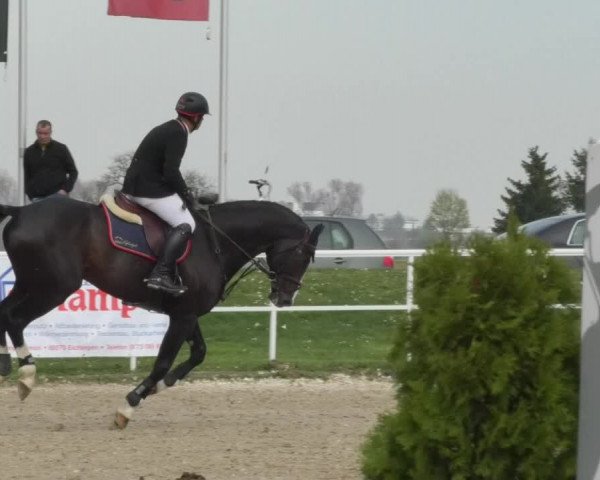 Reitturnier Langenau 2018