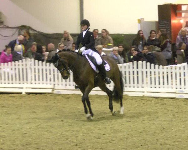Reitturnier Saarlouis 2018