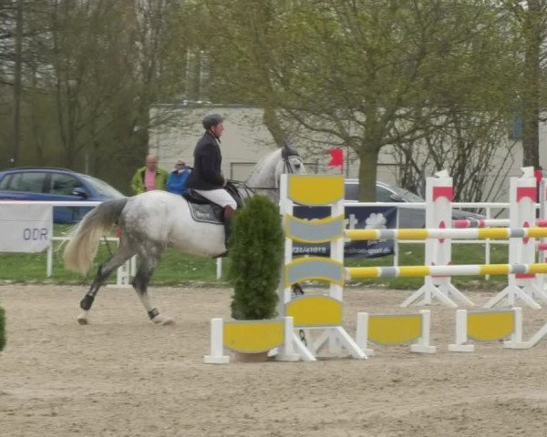 Reitturnier Langenau 2018