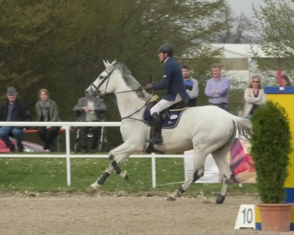 Reitturnier Langenau 2018