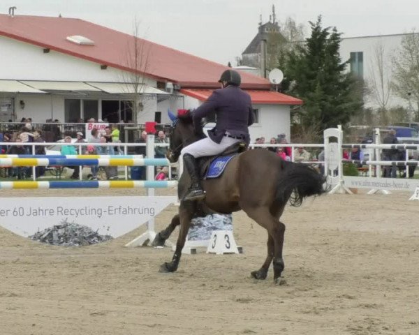 Reitturnier Langenau 2018