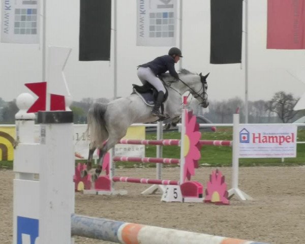 Reitturnier Langenau 2018