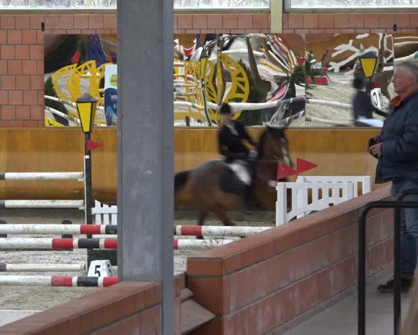 Reitturnier Mönchengladbach-Wickrath 2021