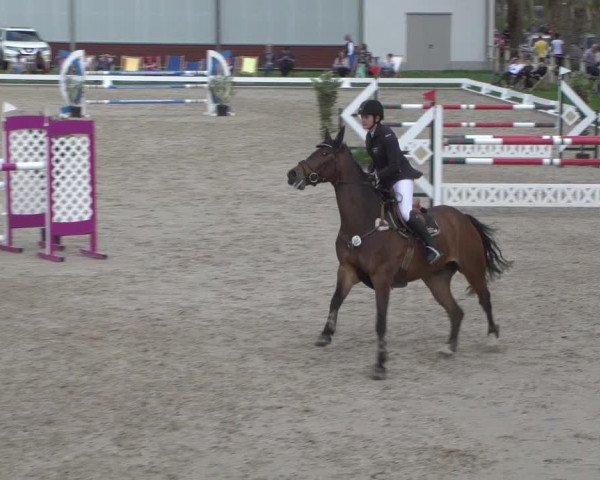 Reitturnier Zweibrücken 2018