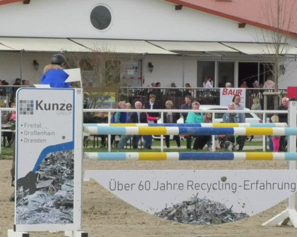 Reitturnier Langenau 2018