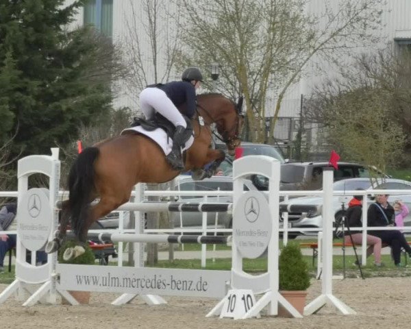 Reitturnier Langenau 2018
