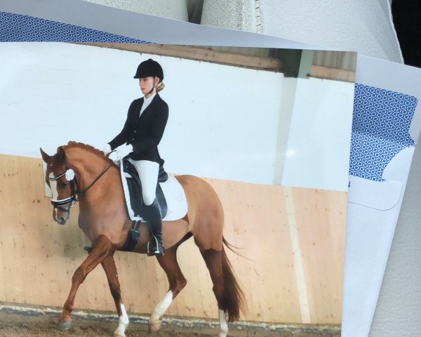 broodmare Dancing Diamond 26 (German Riding Pony, 2014, from Diamantenglanz AT)
