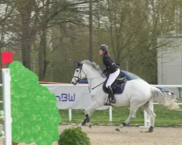 Reitturnier Langenau 2018