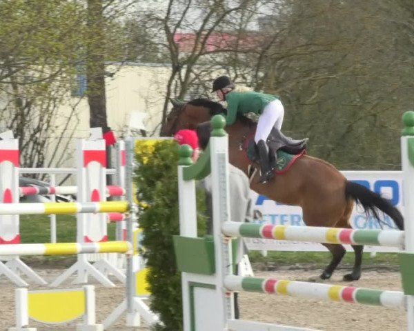 Reitturnier Langenau 2018
