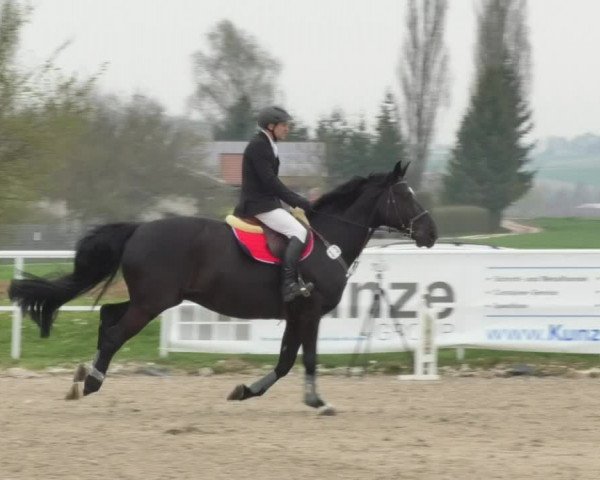 Reitturnier Langenau 2018