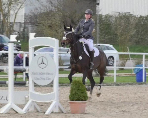Reitturnier Langenau 2018