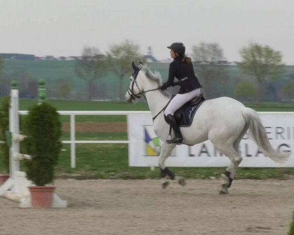 Reitturnier Langenau 2018