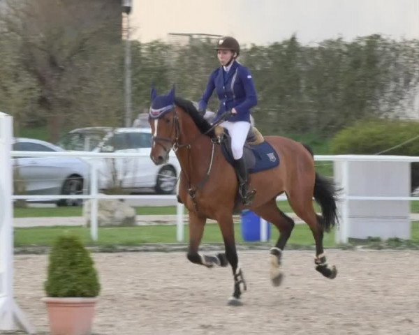 Reitturnier Langenau 2018